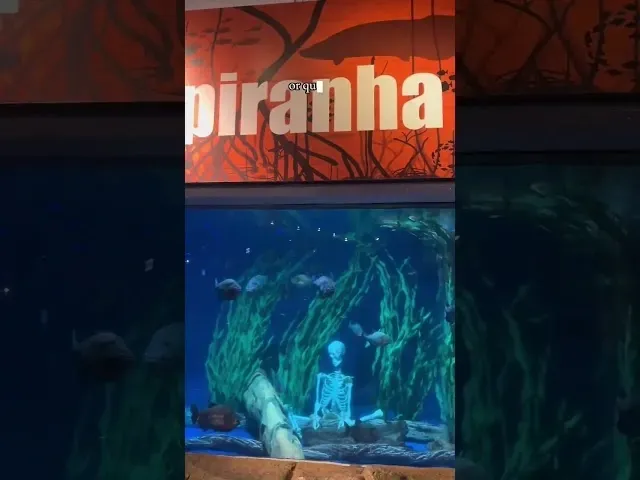 Cara Tempah Tiket Explore Aquaria KLCC dalam redBus